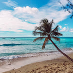 THE ULTIMATE GUIDE TO BARBADOS - Dreamers who Travel
